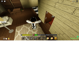 Evelyns obby