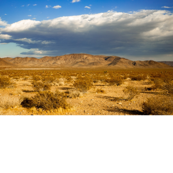 Area 51
