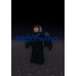 Nightwing™