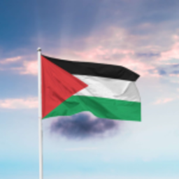 🇵🇸 حرب فلسطين