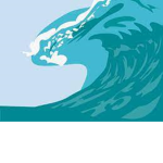 Discovery Waves