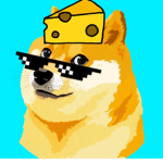 The Awesome doge club