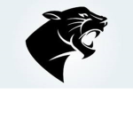 Special Operations Detachment - Black Panther