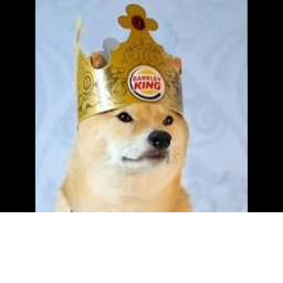 Master Doge village
