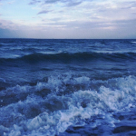 Seabloom