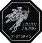 [AM] 17º Stormo Incursori