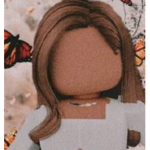 Bloxy bloxburg vibes