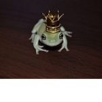 Froggy company