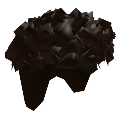 Roblox hair preview for Brown Curly Hair