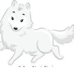 White Fox Clothing