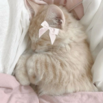 mkayx