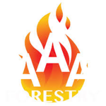 "AAA Studios"