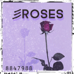 彡Roses