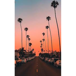 ≈ aesthetic hangout ≈
