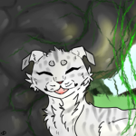 Warrior Cats: Origins