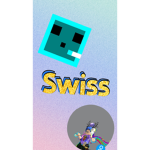 Swiss4Real fan group