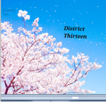 |district thirteen|