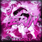 aerin'