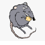 Rats4Life