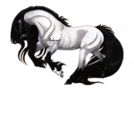 Shadowhorse