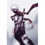 The German Ninja's