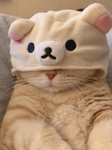 을지 혁명