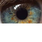 Eye group,