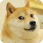 doge r awsome