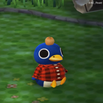 penguins forever!!!