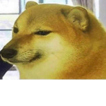 Dogg club