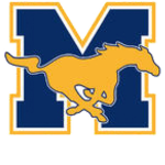 Mustangs baseball Group