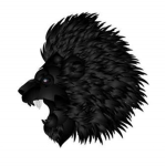 :|:Silver-Shadows Pride|: