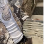 Trapped Ent$