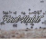 Fowl Habit