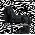 Silver Star Riding