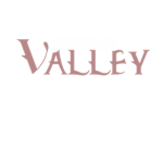 Vintage Valley Designers