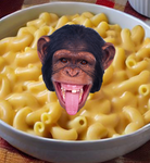The cheeze studios