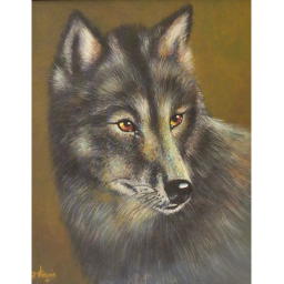 WOLF JEEPANO