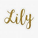 ~Lilly's Group~