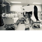 Easins