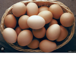 Eggs shall rule