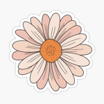 -Kate's Blossom's-