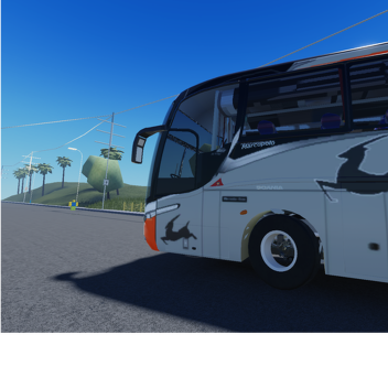 Región Huila Colombia  🇨🇴 