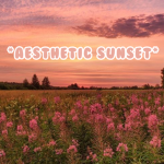 *Aesthetic Sunset*