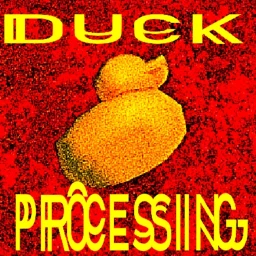 DUCK PROCESSING icon