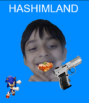 Republic Of Hashimland