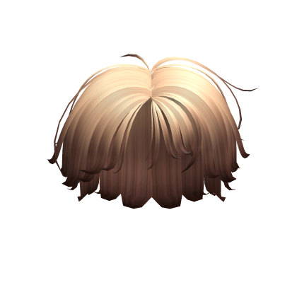 Blonde to Brown Messy Hair Roblox item