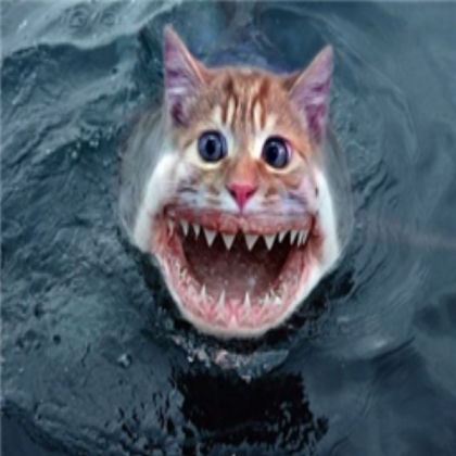 CAT Roblox decal