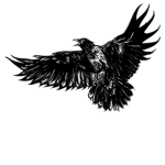 The Crows Eye