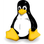 icool's penguins